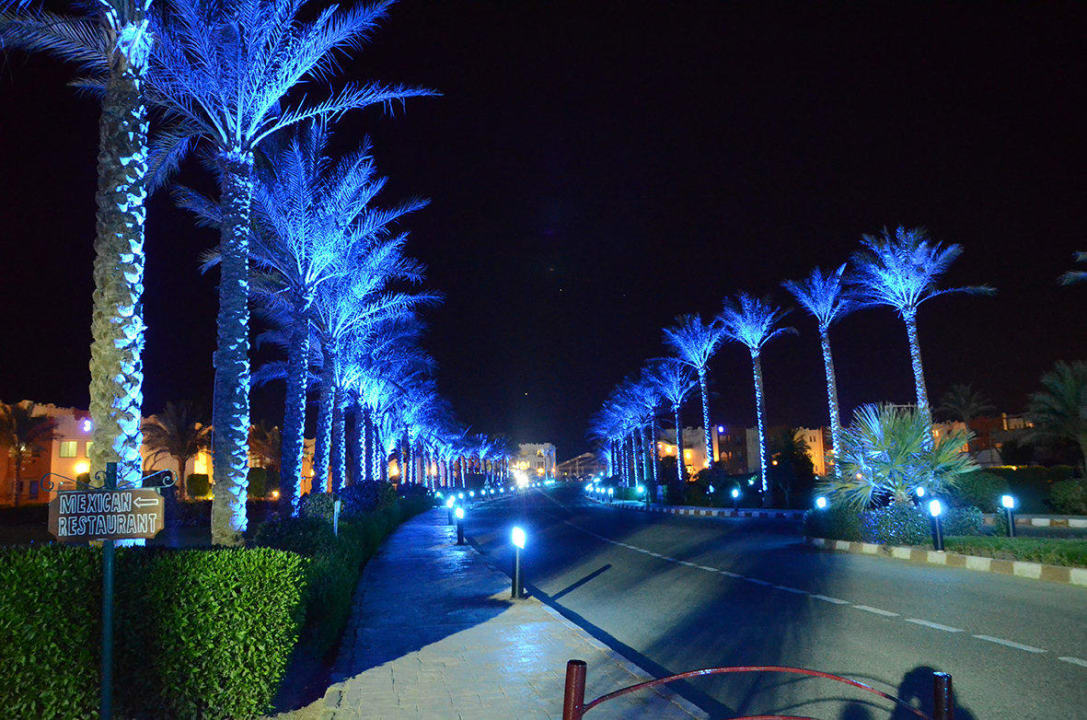 Příjezdová cesta k recepci SUNRISE Royal Makadi Resort