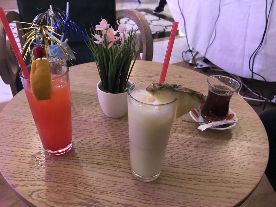 Gastro Well Palace Side