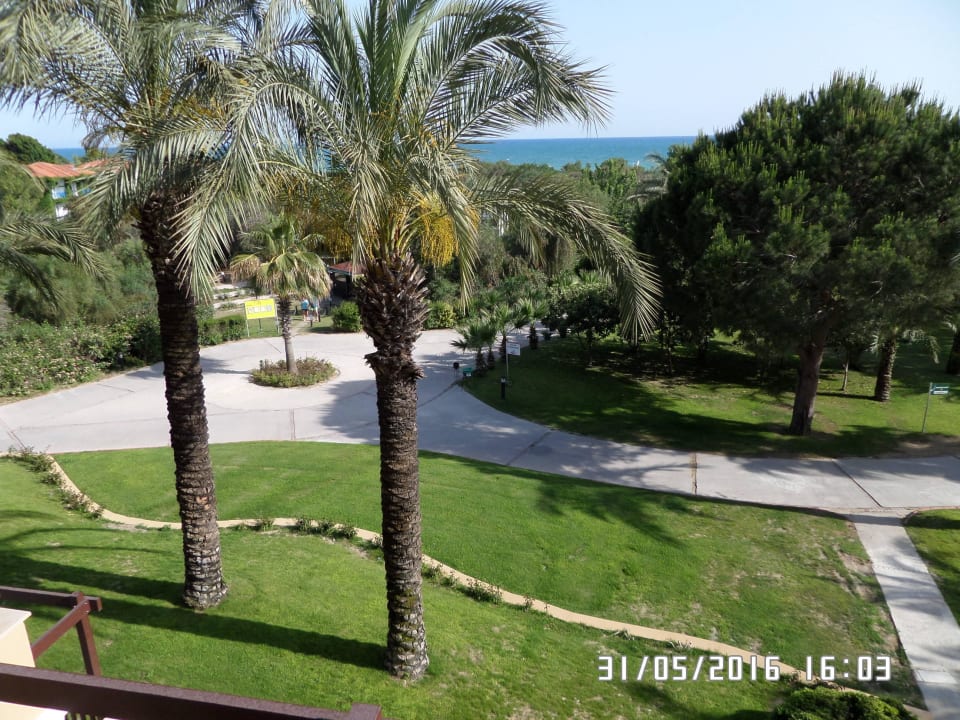 Toller Kreisverkehr Asteria Family Belek