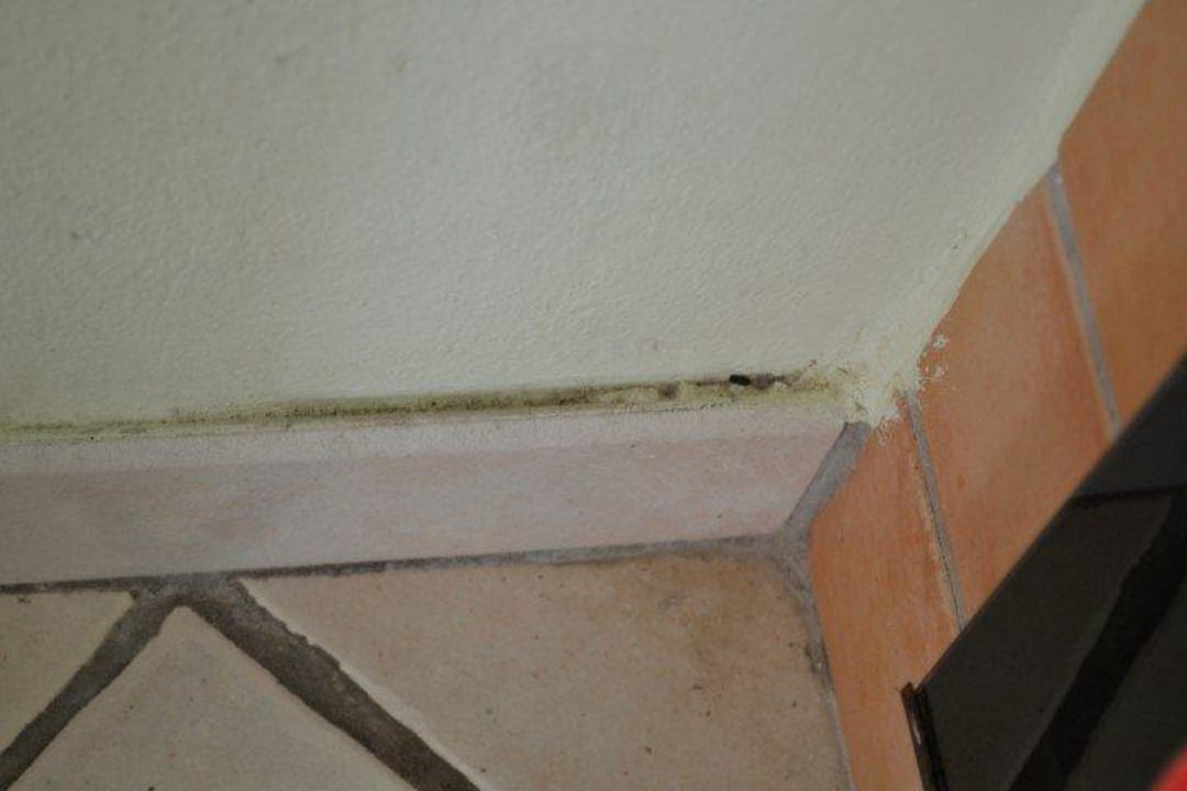 Vieze plinten Villa Torre delle Viole