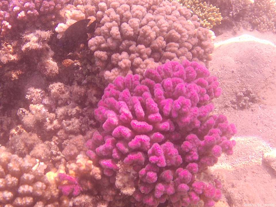 Strand Bella Vista Resort Hurghada