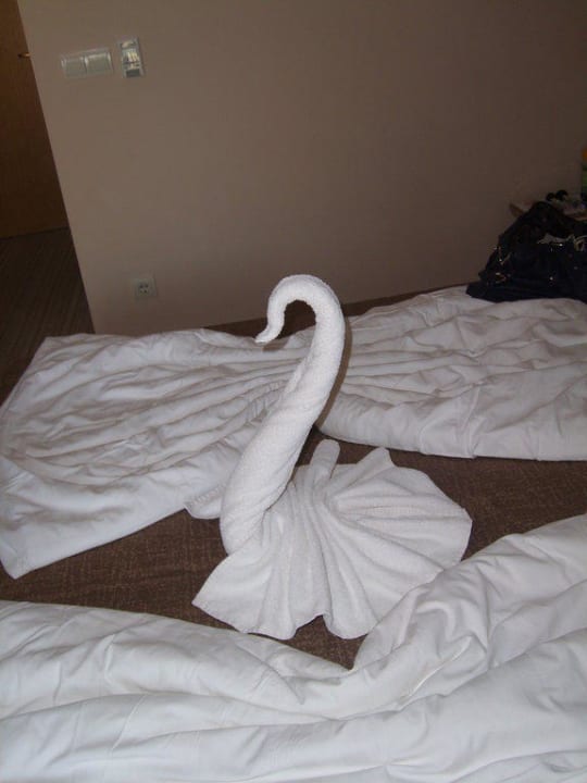 Schwan auf dem Bett HVD Clubhotel Miramar