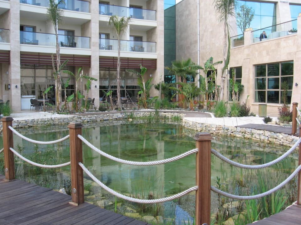 Geplegter Garten Paloma Pasha