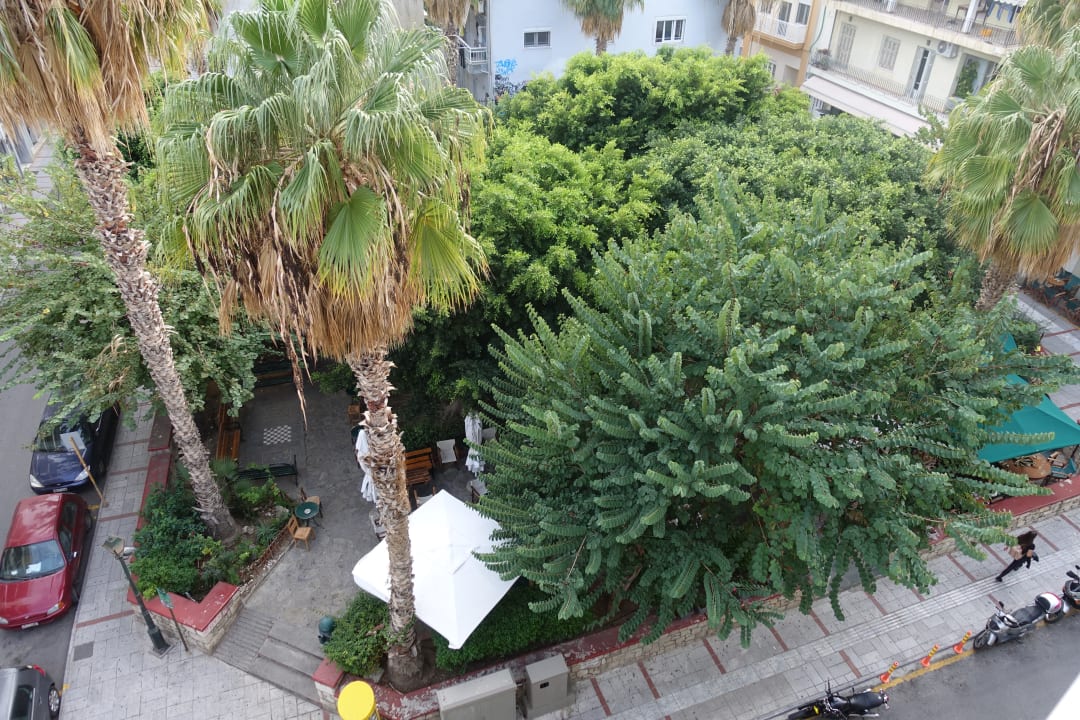 Ausblick Olive Green Hotel