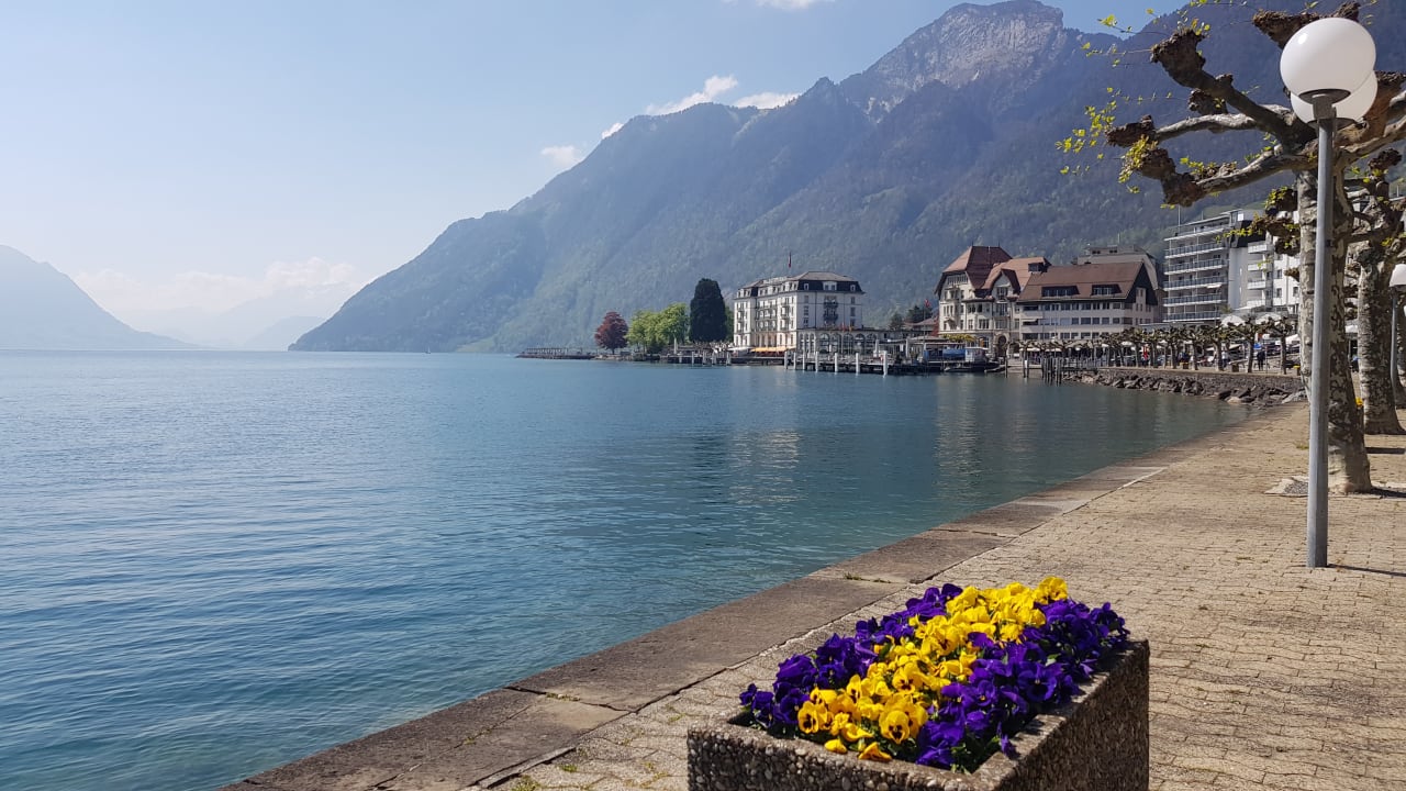 Außenansicht Seehotel Waldstätterhof Swiss Quality
