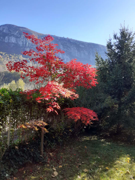 Gartenanlage Pensiune Safrane