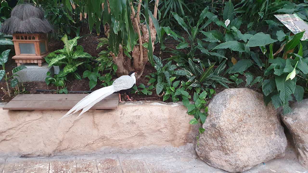 Gartenanlage Tropical Islands Resort