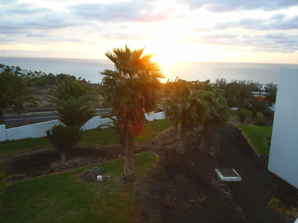 Sonnenaufgang allsun App.-Hotel Esquinzo Beach