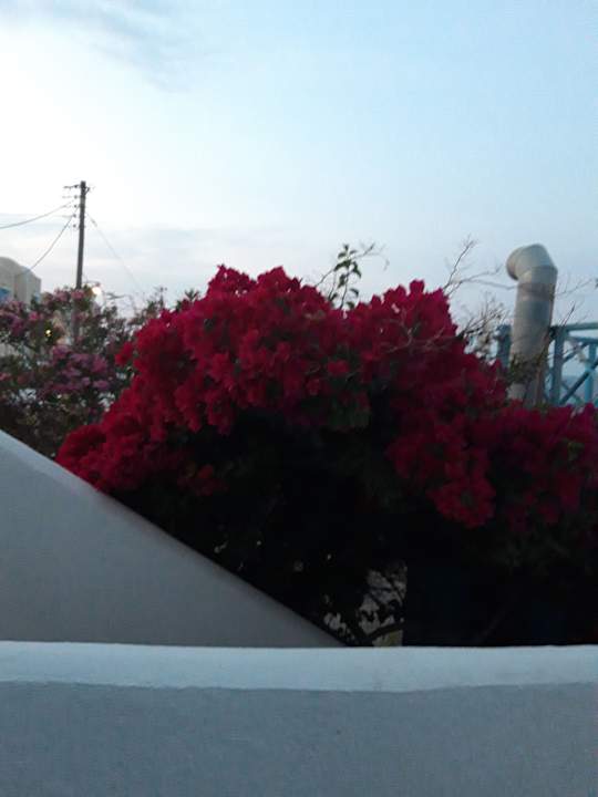 Sonstiges Pension Stella