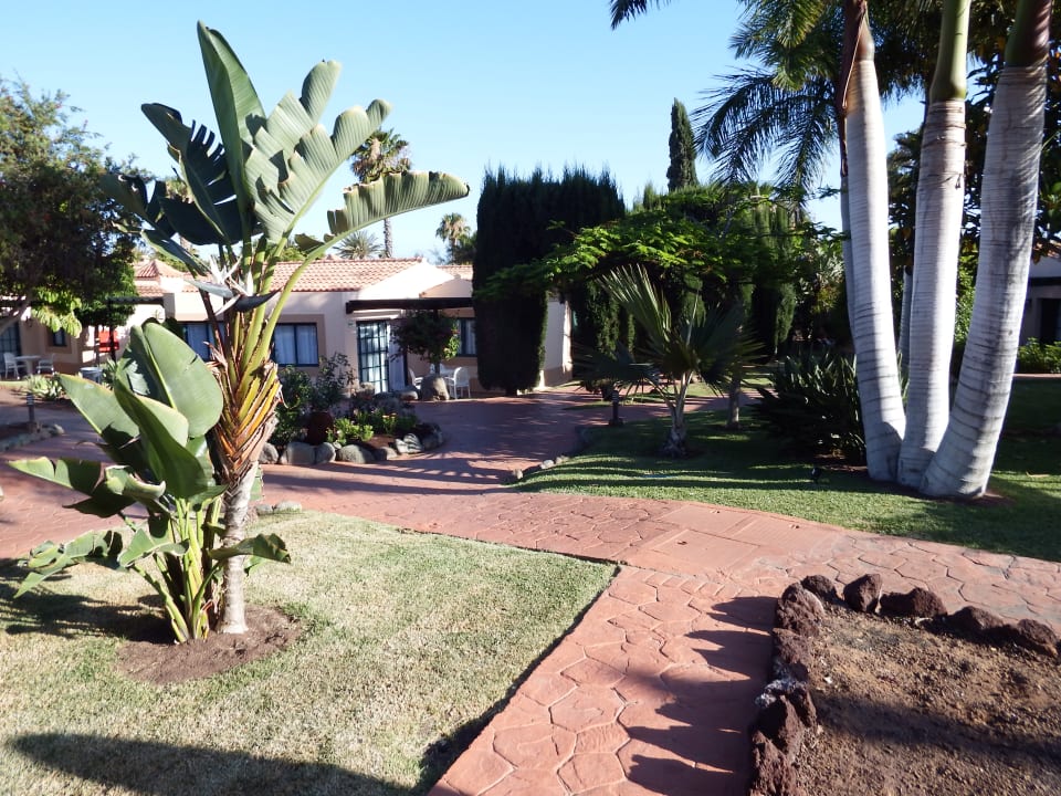 Gartenanlage allsun Hotel Esplendido