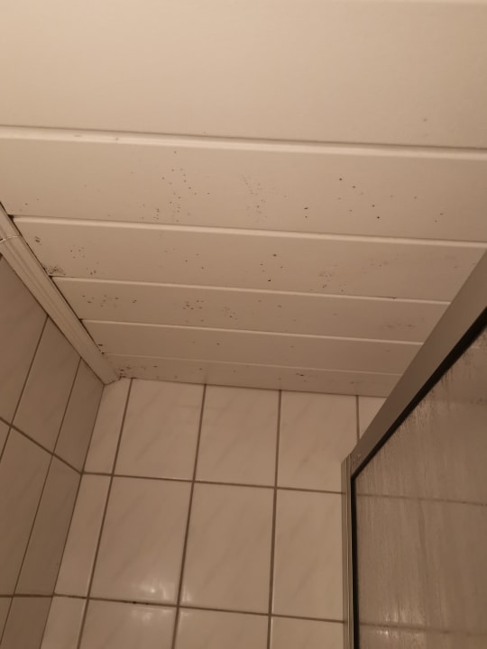 Zimmer Pension Lachmann