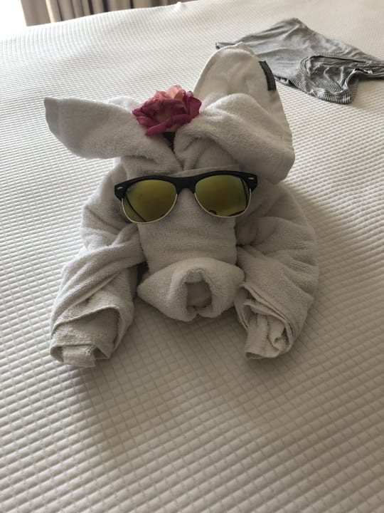 Zimmer TUI BLUE Oceanis Beach and Spa Resort