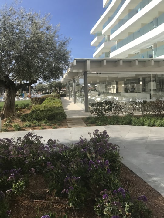 Außenansicht Hipotels Gran Playa De Palma