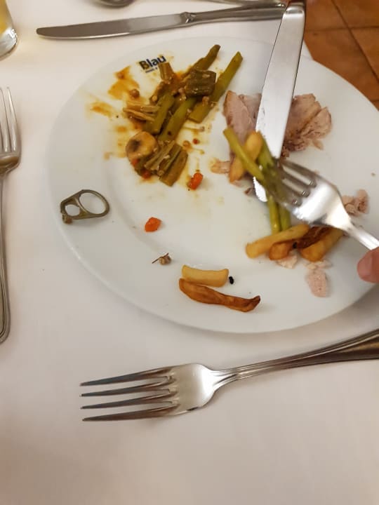 Gastro Blau varadero - Adults only