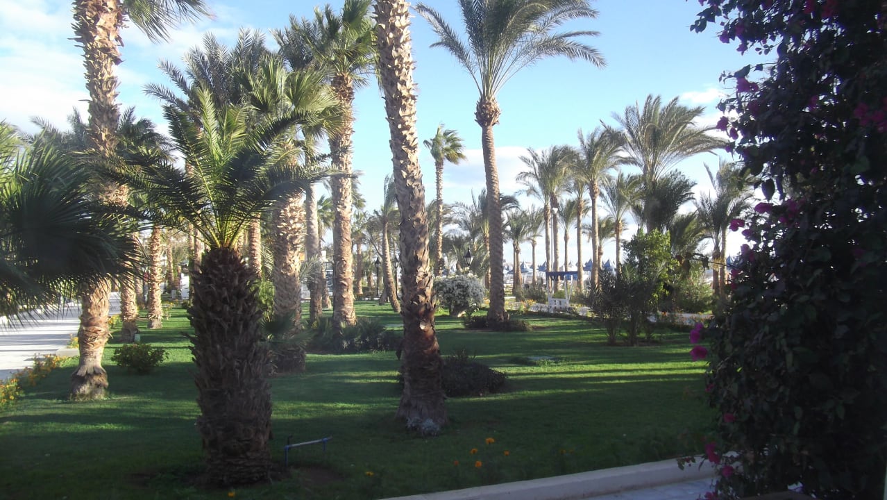 Ausblick The Grand Hotel Hurghada