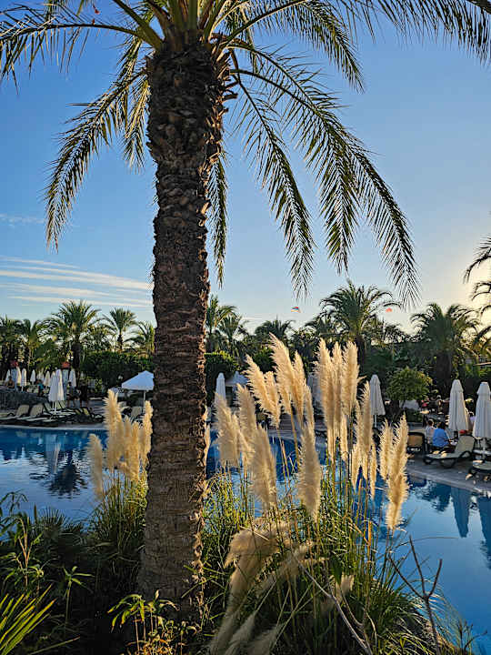 Gartenanlage Royal Wings Hotel