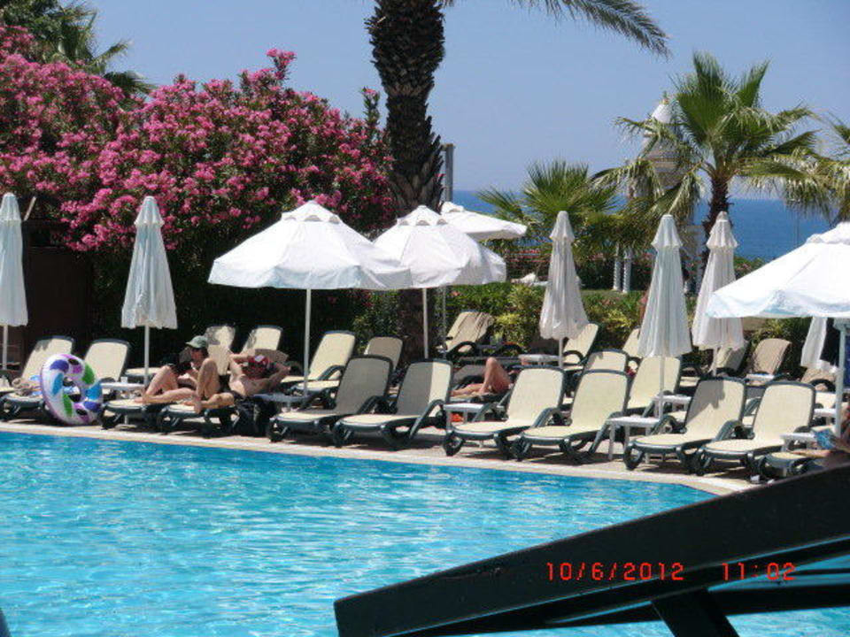 Pool Alba Resort Hotel