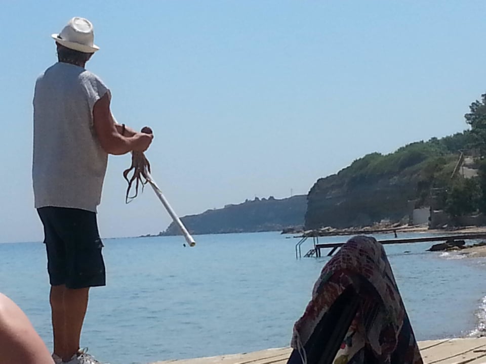 Ośmiorniczka wyłowiona przez wprawnego Greka AluaSoul Zakynthos - Adults only