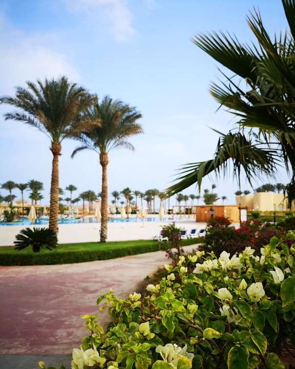Gartenanlage Cleopatra Luxury Resort Makadi Bay