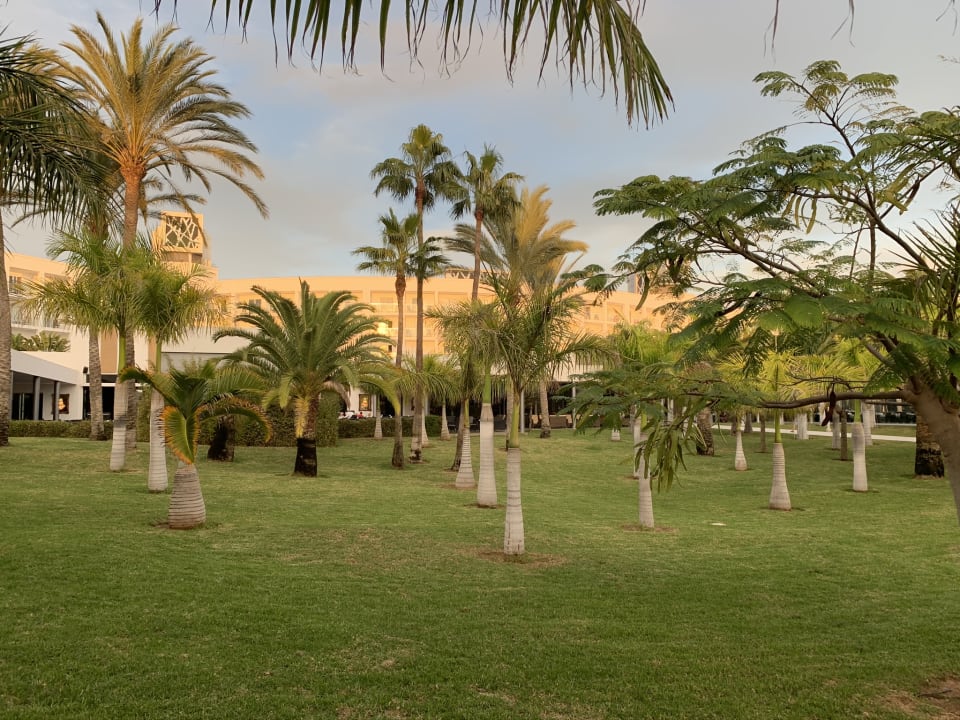 Gartenanlage Hotel Riu Palace Meloneras