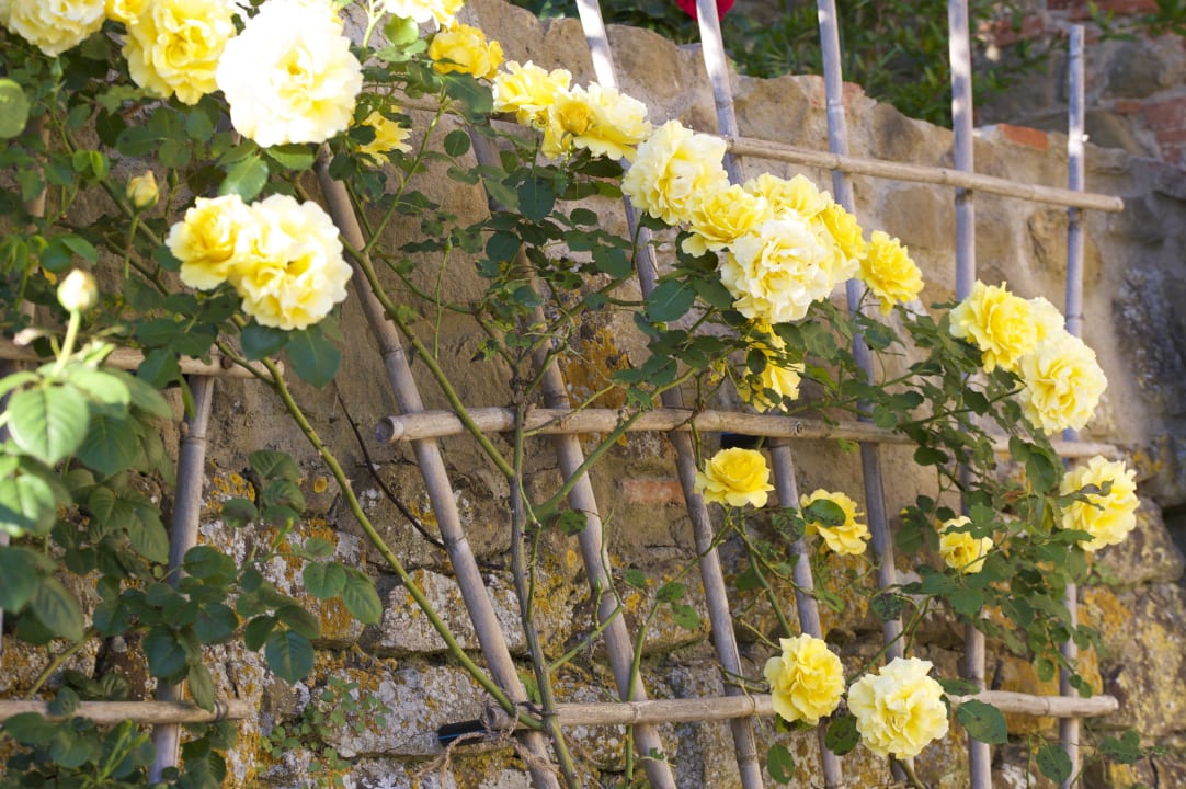 Impressionen Ventena Vecchia antico frantoio