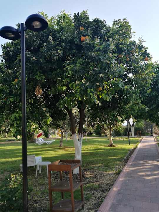 Gartenanlage Seher Kumköy Star Resort & Spa