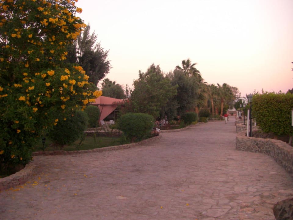 Weg zum Strand Eagles Paradise Abu Soma