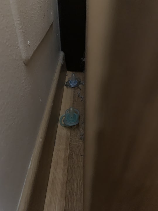 Zimmer Dilly - Das Nationalpark Resort