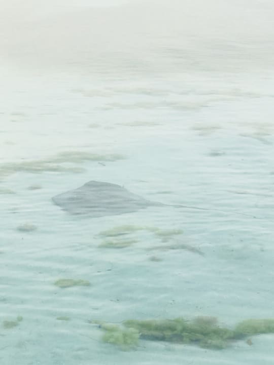 Strand Hotel Riu Negril