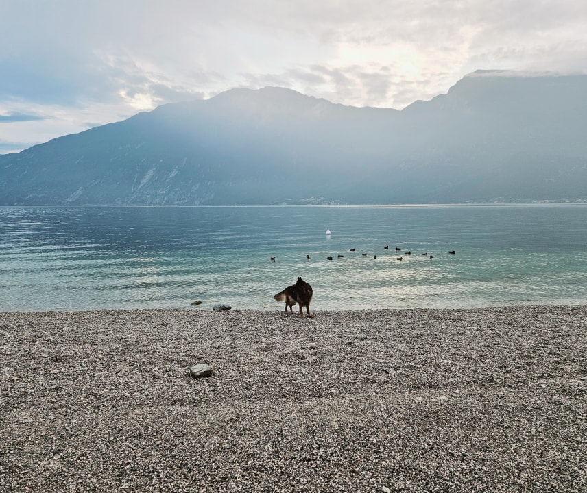Strand Camping Park Garda