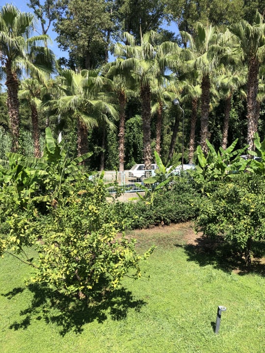 Gartenanlage Club Tuana Fethiye