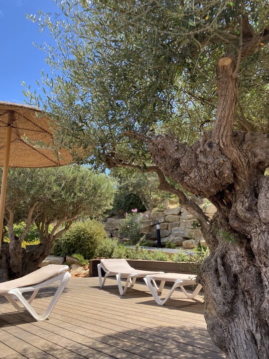 Gartenanlage 3HB Guaraná - All Inclusive