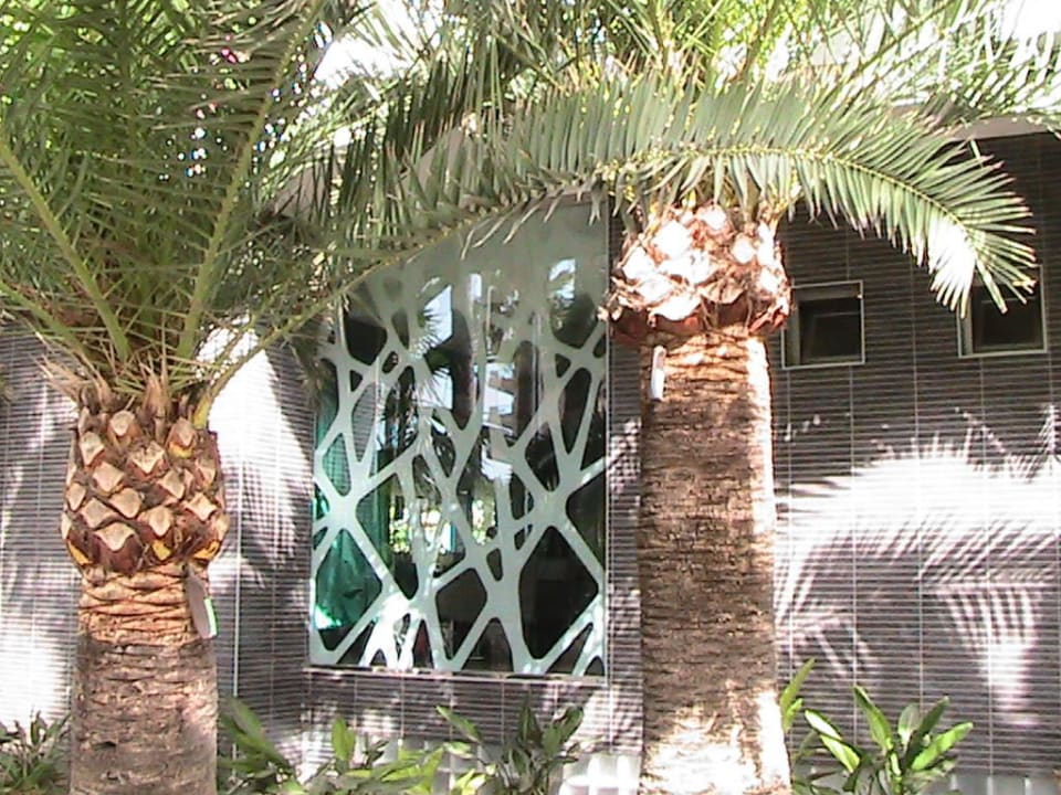 Ansicht Ost Hotel Riu San Francisco - Adults only