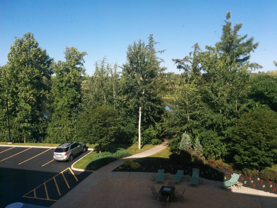 View from the room Hotel Holiday Inn Express & Suites Webster