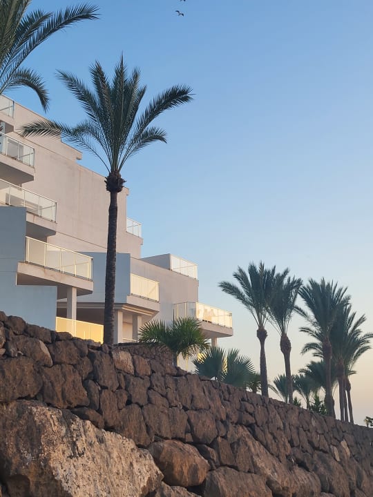 Außenansicht Hotel Riu Buenavista