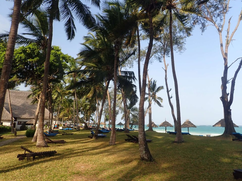 Gartenanlage Hotel Diani Sea Lodge