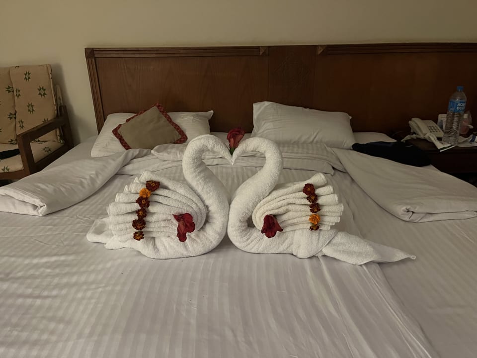 Zimmer Three Corners Equinox Beach Resort