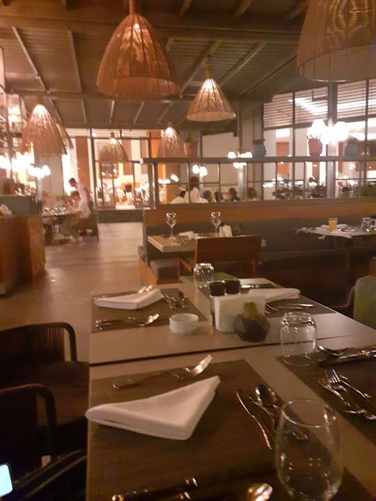 Gastro Arum Barut Collection