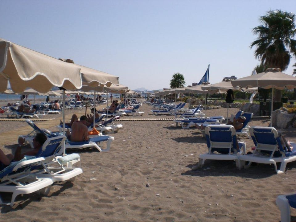 Immer Liegen frei Rodos Palladium Leisure & Wellness