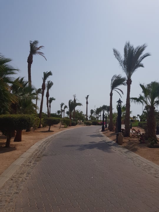 Strand Steigenberger Aqua Magic