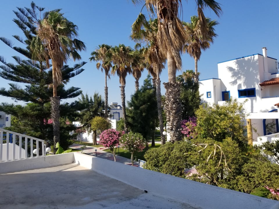 Gartenanlage Hotel Tigaki's Star