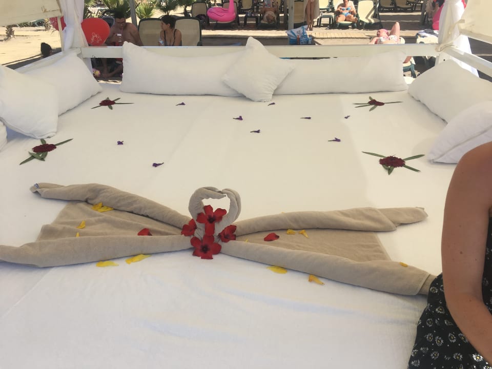 Strand Royal Wings Hotel