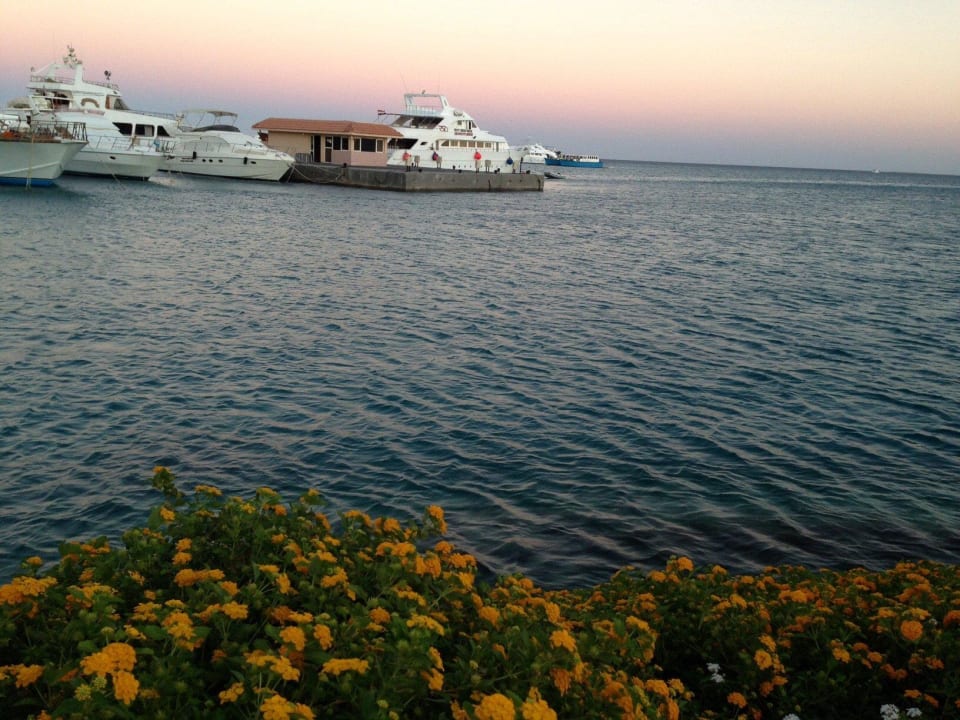 View from hotel beach island  Marriott Hurghada Beach Resort