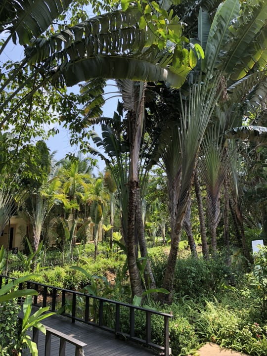 Gartenanlage Centara Koh Chang Tropicana Resort