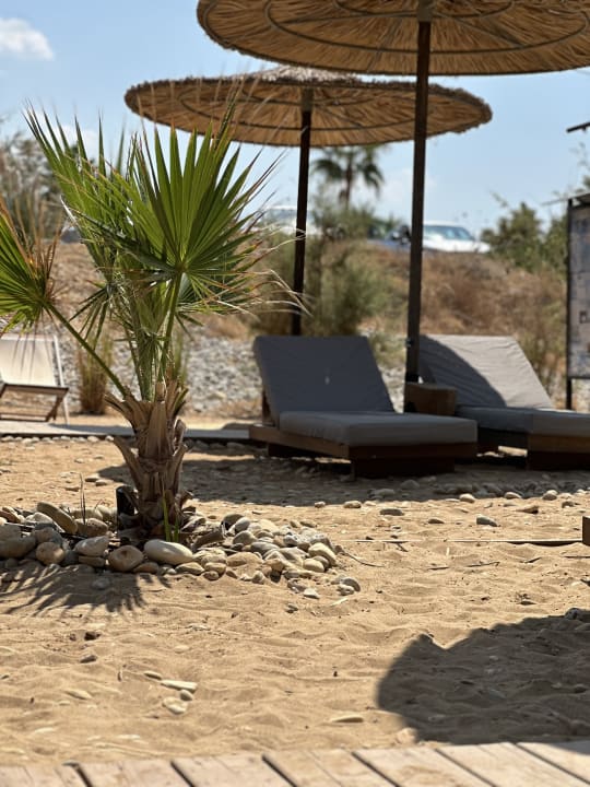 Strand Domes Zeen Chania, a Luxury Collection Resort, Crete