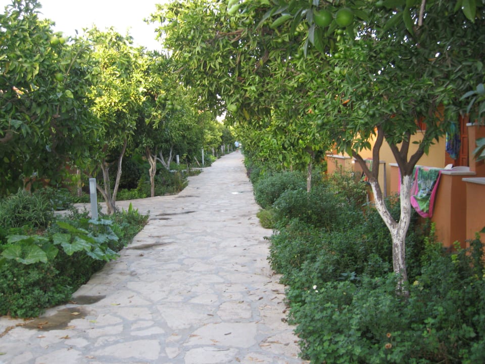 Tolle Anlage Özlem Garden Hotel