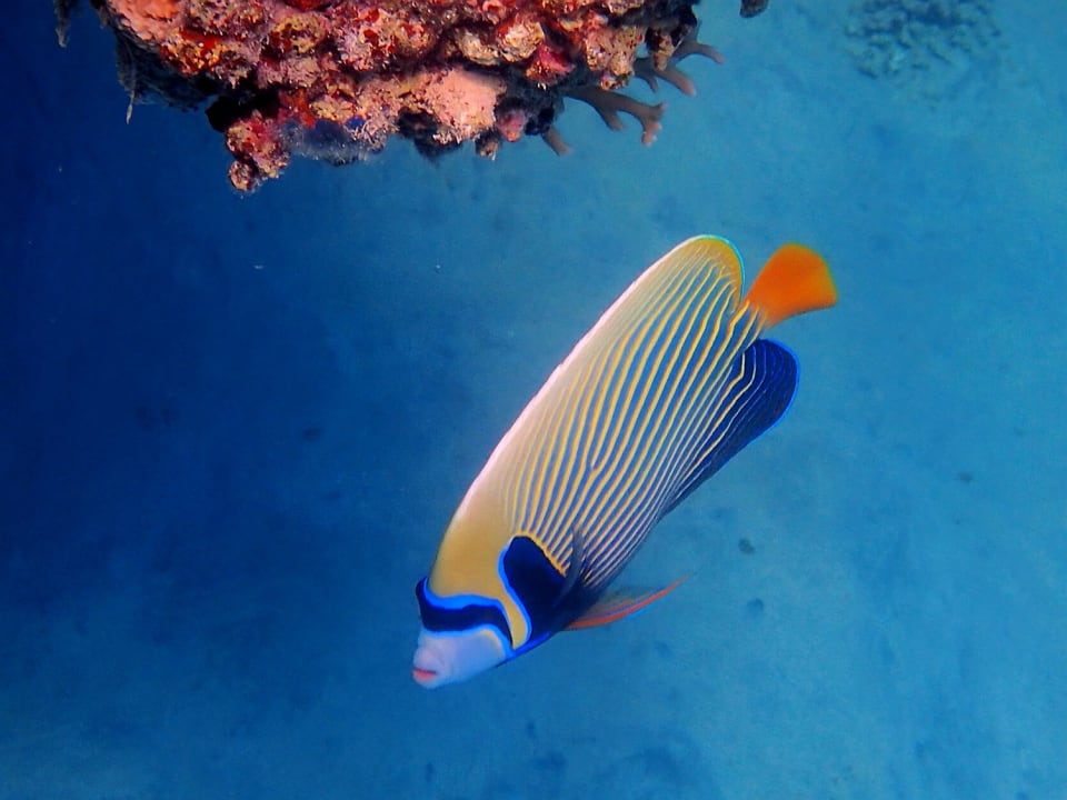 Sport & Freizeit Brayka Bay Resort