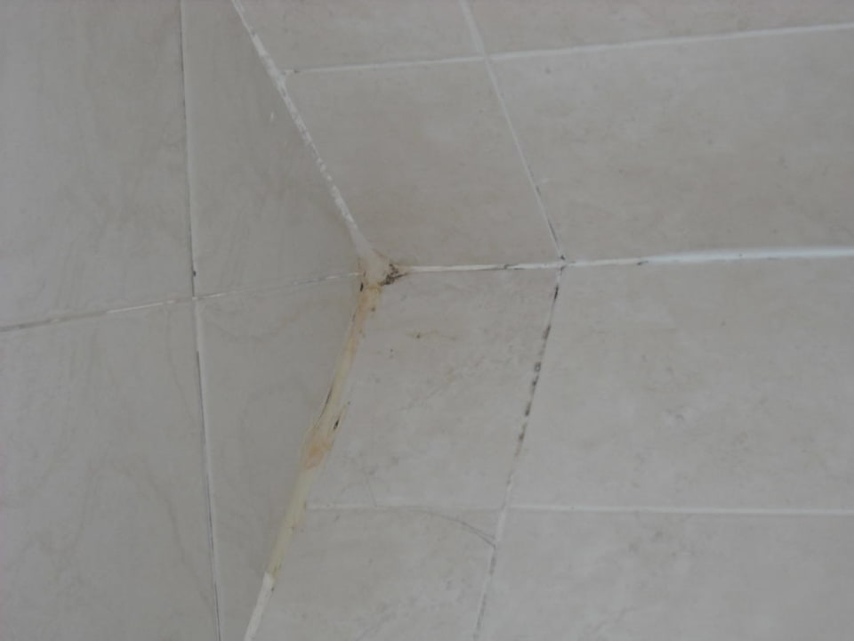 Some mould Effect Grand Victoria Hotel