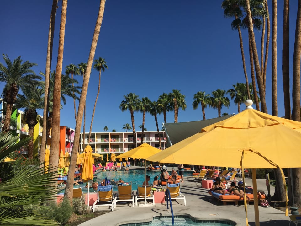 Pool Joie de Vivre Hotel The Saguaro Palm Springs