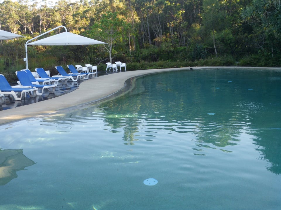 Pool Kingfisher Bay Resort